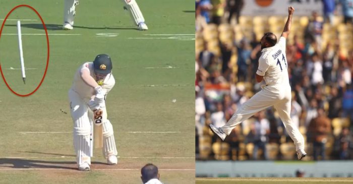 IND vs AUS: मोहम्मद शमी की गेंद पर चारों खाने चित हुए डेविड वार्नर; हवा में उड़ा स्टंप – देखें वीडियो